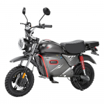 Y18 Elektriline t&otilde;ukeratas NFC-ga 2000W 20Ah 15'' Rattad 25KM/H Maksimaalne kiirus 90KM S&otilde;iduulatus T&auml;iskasvanute Elektrilised T&otilde;ukerattad
