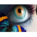 Teemantmaaling Tasuta ristpistekomplektid Mosaiiktikandid Ristpistes Silmapilt Kodukaunistuse kingitus 20X30CM