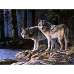 T&auml;isringi puur Teemanttikandid Wolf By The River DIY Teemantmaal Ristpistes Rhinestone 20X30CM