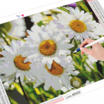 5D Teemantmaal T&auml;ispuurimine Lilled Teemanttikandid Karikakra ristpistes Kodukaunistus 20X30CM