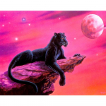 5D DIY teemantmaali mosaiik  Black Panther  Teemanttikandid Ristpistes Kodukaunistus 20X30CM