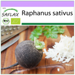 SAFLAX &ndash; mahe &ndash; redis &ndash; must hispaania &uuml;mmargune &ndash; 100 seemet &ndash; Raphanus sativus