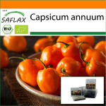 SAFLAX - Aed kotis - Orgaaniline - Kuum t&scaron;illipipar - Habanero apelsin - 20 seemet - Substraadiga sobivas p&uuml;stijas kotis - Capsicum annuum