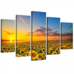 Viieosalise pildiga l&otilde;uenditr&uuml;kk Sunflowers sunset 100x70 kollane