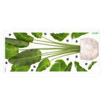 Seinakleebis Elav kodukaunistus Kergesti paigaldatav veekindel elutoa-magamistoaga &uuml;hiselamusse roheline