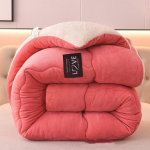 Coral samet tekk pehme p&ouml;&ouml;ratav samet paksendatud sooja polsterdatud tekis&uuml;damikuga madrats siid hingav s&uuml;gis-talv A150*200 CM（2.5kg）