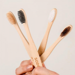 Soduwi bambusest hambahari