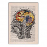 Uus retrokunst Abstraktne l&otilde;uend Inimorganite maal Plakat Teadus ja haridus Seinamaal Klassiruumi koridor Dekoratiivne seinamaaling Ilma raamita 21*30cm