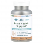 LifeTime Vitamins, Ginkgo Biloba ekstrakt, 240 mg, 60 kapslit (120 mg kapsli kohta)