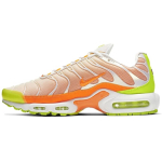 Nike Air Max Plus Color Flip Pack Viinamari CI5924-531 39