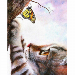 Teemanttikandid Loomade kasside ja liblikatega Teemantmaal Ristpistes N&auml;put&ouml;&ouml; K&auml;sit&ouml;&ouml; Kunst 20X30CM