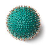 Aplikaator Lyapko n&otilde;elakuul 4.0 Ag 656 n&otilde;eltega n&otilde;elpalliga n&otilde;elmassaaž k&auml;tele, jalgadele, kehale roheline