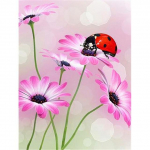 5D Teemantmaaling Daisy Lill T&auml;isruudukujuline Puurivaik V&otilde;ilill Pildid Rhinestones Mosaiik Teemanttikandid Dekoratsioon Avaleht Full Round 20X30CM parkkoor