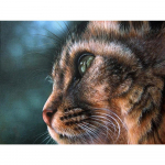 5D DIY Teemantmaaling Loom Kass T&auml;is&uuml;mmargune Mosaiik Rhinestone Ristpistes Teemanttikandid Liblikad Kodukaunistus Full Round 20x30CM