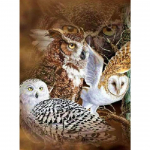 5D DIY Teemantmaali Kotkas Rhinestone Ristpistes Helmestega Pildikomplekt T&auml;ielik Teemanttikandid Mosaiik Kodukaunistamise Kingitused Full Round 20x30CM