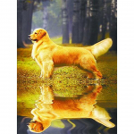 5D DIY Teemantmaali Loomade Koerte Rhinestone Art Pilt T&auml;ielik Teemanttikandid Mosaiik Kingitus Kodukaunistamise Ristpistes Komplekt Full Round 20x30CM