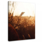 L&otilde;uenditr&uuml;kk Meadow Sun Nature Beige 40x60 pruun