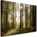 L&otilde;uenditr&uuml;kk Hommik metsas 60x40 roheline