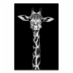 Elevant-sebra L&otilde;vi kaelkirjak ninasarvik must-valge loomal&otilde;uendimaal Kunstitr&uuml;kk Plakat Pilt Sein P&otilde;hjamaade kaunistus 21x30cm No Frame