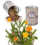Canette avec graines de fleurs des pr&eacute;s &agrave; planter