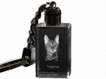 Toyger - Crystal pendant with cat photo, illuminated pendant, unique gift by Art-Dog brand