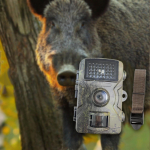 Rajakaamera v&auml;ljas metslooma j&auml;lgimiseks jahipidamiseks aeda