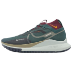 Nike React Pegasus Trail 4 GTX V2 'Roheline' Meeste HM9728-300 EU 41 gray