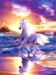 Daimond Painting Horse 5D Teemantmaali N&auml;put&ouml;&ouml; Teemanttikandid Maaling 15*20cm