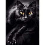 5D DIY teemantmaaling t&auml;iskandiline/&uuml;mmargune puur Tume kass Teemanttikandi komplektid Ristpistes Kodukaunistuse kingitus Round 40x50cm must