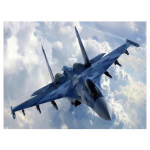 5D DIY Teemantv&auml;rvimine V&otilde;itluslennukite ristpistekomplekt Mosaiik Teemanttikandid Roos t&auml;isringi/ruudukujuline puur Kodukaunistus Round 20x30cm