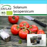SAFLAX - Kinkekomplekt - Orgaaniline - Tomat - Matina - 10 seemet - Koos kinkekarbi, kaardi, etiketi ja potisubstraadiga - Solanum lycopersicum