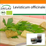 SAFLAX - Aed kotis - Orgaaniline - Leem - 100 seemet - Substraadiga sobivas p&uuml;stijas kotis - Levisticum officinale