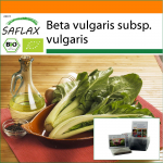 SAFLAX - Aed kotis - Orgaaniline - Swiss Chard - 150 seemet - Substraadiga sobivas p&uuml;stises kotis - Beta vulgaris