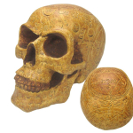 Les Tr&eacute;sors De Lily [A3294] &ndash; pruun vaigust kujuke  Skull  (nekrut) - 21 cm pruun