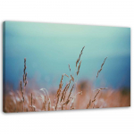 Feeby l&otilde;uenditr&uuml;kk, rohulibled 60x40 sinine