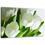 L&otilde;uenditr&uuml;kk White Tulips Flower 60x40 roheline