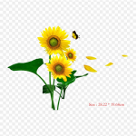 Tavaline p&auml;evalille t&otilde;mberaud soojus&uuml;lekandel tr&uuml;kkimisel Vin&uuml;&uuml;lplaastrid Kleebis riietele Ise ise teha aplikatsioonid pestavad plaastrid