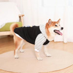 S&uuml;gistalvine lemmikloomakoerariided mood soe koerte kapuuts Koera jope mops Prantsuse buldog suur ja v&auml;ike koer riided koerte dressipluus S 1-2KG