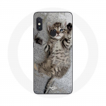 &Uuml;mbris Xiaomi Redmi Note 5 AI kahekaameraga Bengali kassipojale, kes magab