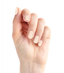 RENEE Kleepitavad K&uuml;&uuml;ned BN 06| 24 Korduvkasutatavat Kunstk&uuml;&uuml;nte Komplekti| Kerged & Kauakestvad| Lihtne Kasutada| Kiire Lahendus Festivalideks & Erijuhtudeks