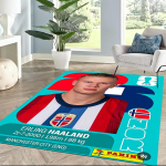 Haalandi number 9 vaibad on suurep&auml;rane valik elutubadesse, magamistubadesse, kodukaunistuseks ja kingitusteks. 80cmx120cm