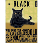 Les Tr&eacute;sors De Lily [R1128] - Metallmagnet 'Cats' kollane must (Chat Noir - Black) - 9x6. 5 cm must