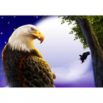 5D DIY Teemantmaaling Kotkas Teemantmosaiik Loom Teemanttikandid Kunst K&auml;sit&ouml;&ouml; K&auml;sitsi valmistatud Dekoratsioonikingitus 20X30CM