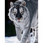 5D teemantmaal, t&auml;is&uuml;mmarguse tikandiga pilt kivist teemantmosaiigiga kodukaunistus 20X30CM