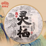 2020 Haiwan  The Gathering of Plant Spirit  Raw Pur-erh Suurep&auml;rane teesari  Ling Qi  Premium Raw Pur-erh 400g