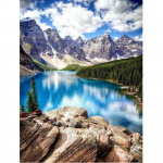 5D DIY teemantmaaling M&auml;ed ja j&otilde;ed Ristpistete komplekt Mosaiik Teemanttikandid Roos T&auml;is&uuml;mmargune/ruudukujuline puur Kodukaunistus Round 20x30cm