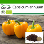 SAFLAX - Orgaaniline - Paprika - Golden California Wonder - 20 seemet - Potisubstraadiga paremaks kasvatamiseks - Capsicum annuum
