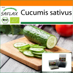 SAFLAX - Aed kotis - Mahe - Kurk - Marketmore - 20 seemet - Substraadiga sobivas p&uuml;stises kotis - Cucumis sativus