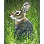 DIY Rabbit 5D Teemantmaal T&auml;is&uuml;mmargune puur Loomad Teemanttikandid Ristpistes Mosaiik Vaigust seinakunst Kodukaunistuse kingitus Full Round 20x30CM