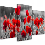 Kolmeosaline pildil&otilde;uenditr&uuml;kk Red Poppies Plants 60x40 punane